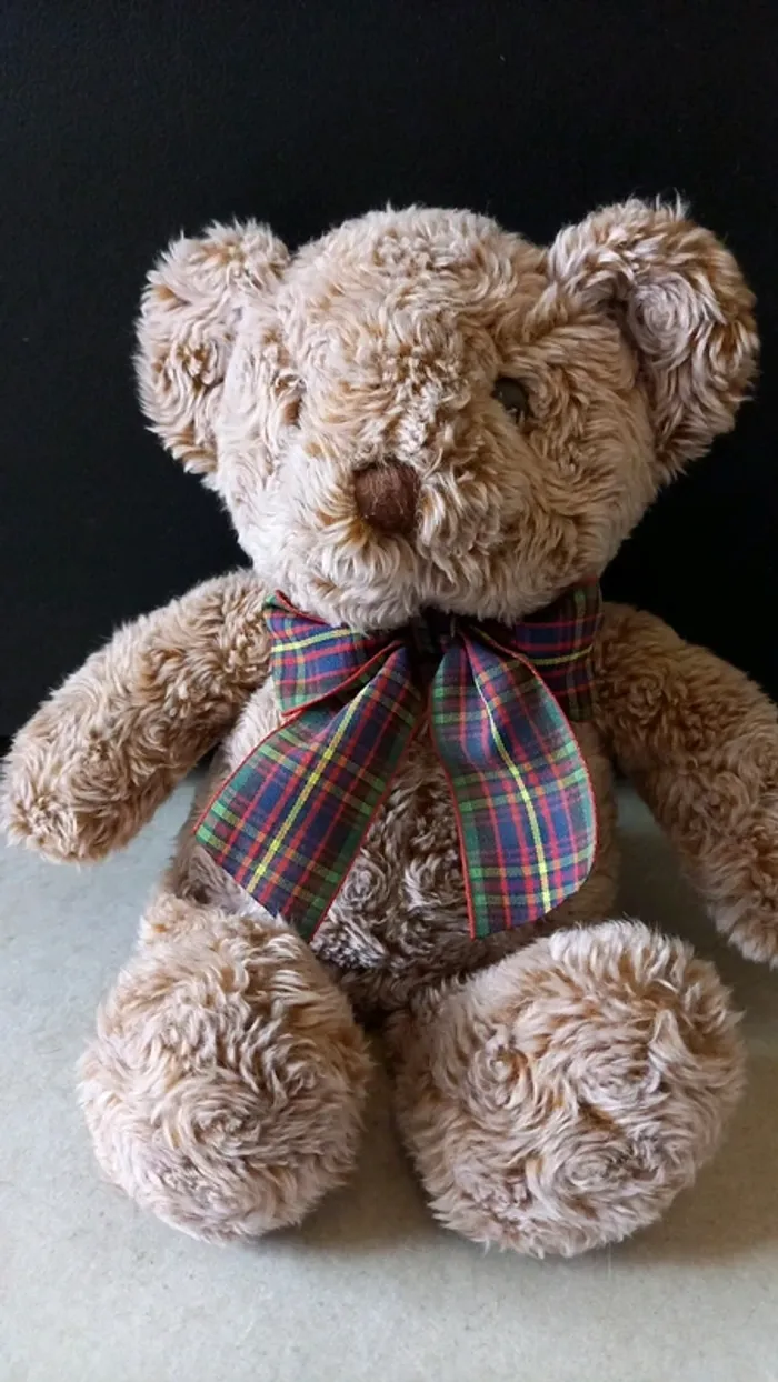 Nounours - photo numéro 2
