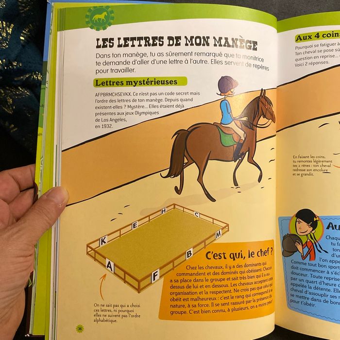 Le manuel de la cavalière - photo numéro 3