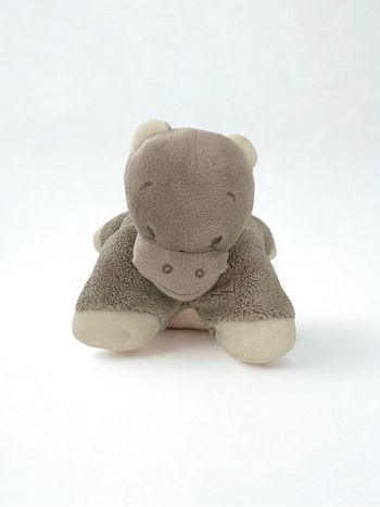Hippolyte doudou Nattou