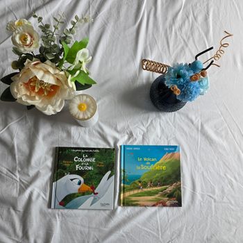 Virginie Grimaldi Alexandre Jardin Hachette Jeunesse Très bon 