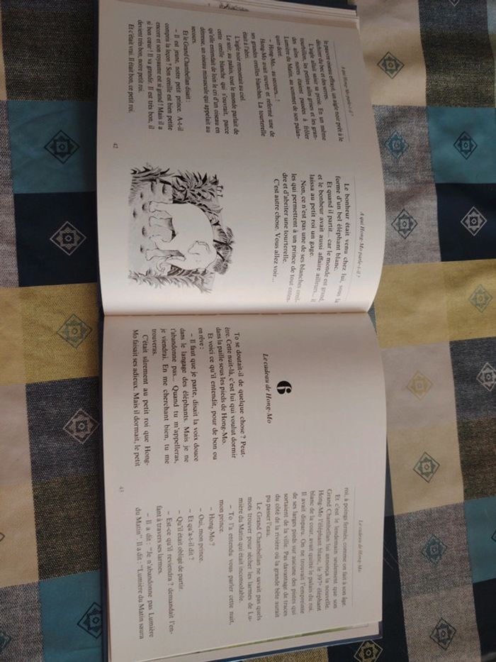 Livre sur l'éléphant - photo numéro 13