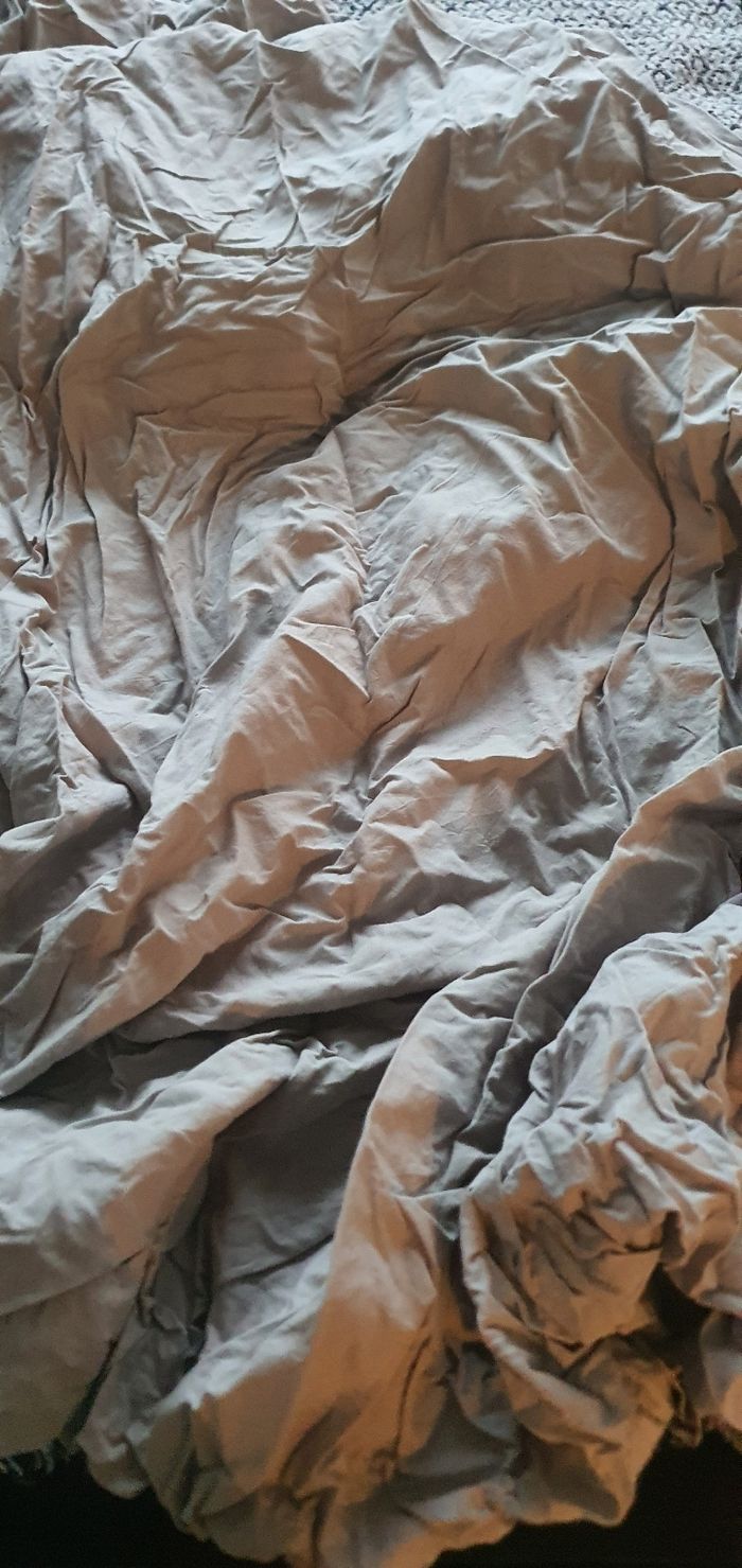 Lot 2 drap housse 1 pers