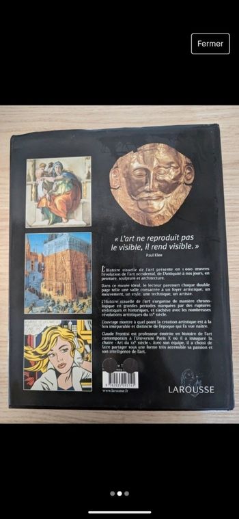 Histoire visuelle de l'art édition Larousse