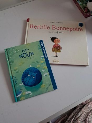 Lot 2 livres enfants