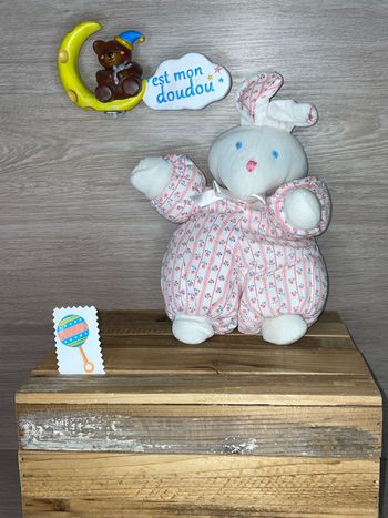 SOL95 doudou lapin 🐰 câlin et bisou