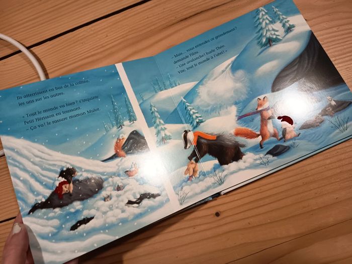 Livre petit hérisson et l'aventure de Noel - photo numéro 2