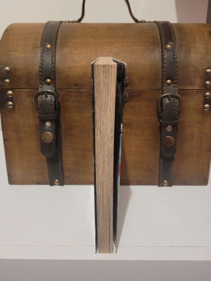 Manga Dr Stone tome 8 édition collector brillant premier tirage - photo numéro 4