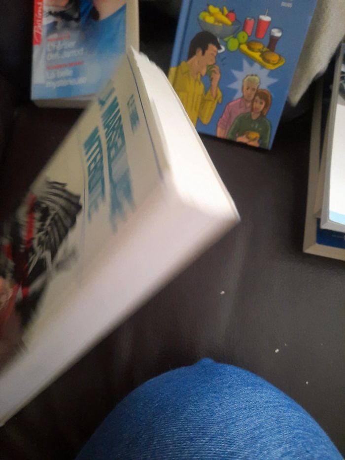 Livre la marseillaise interdite - photo numéro 5