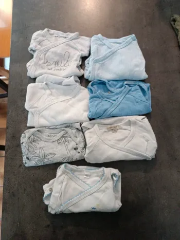 Lot 7 bodies