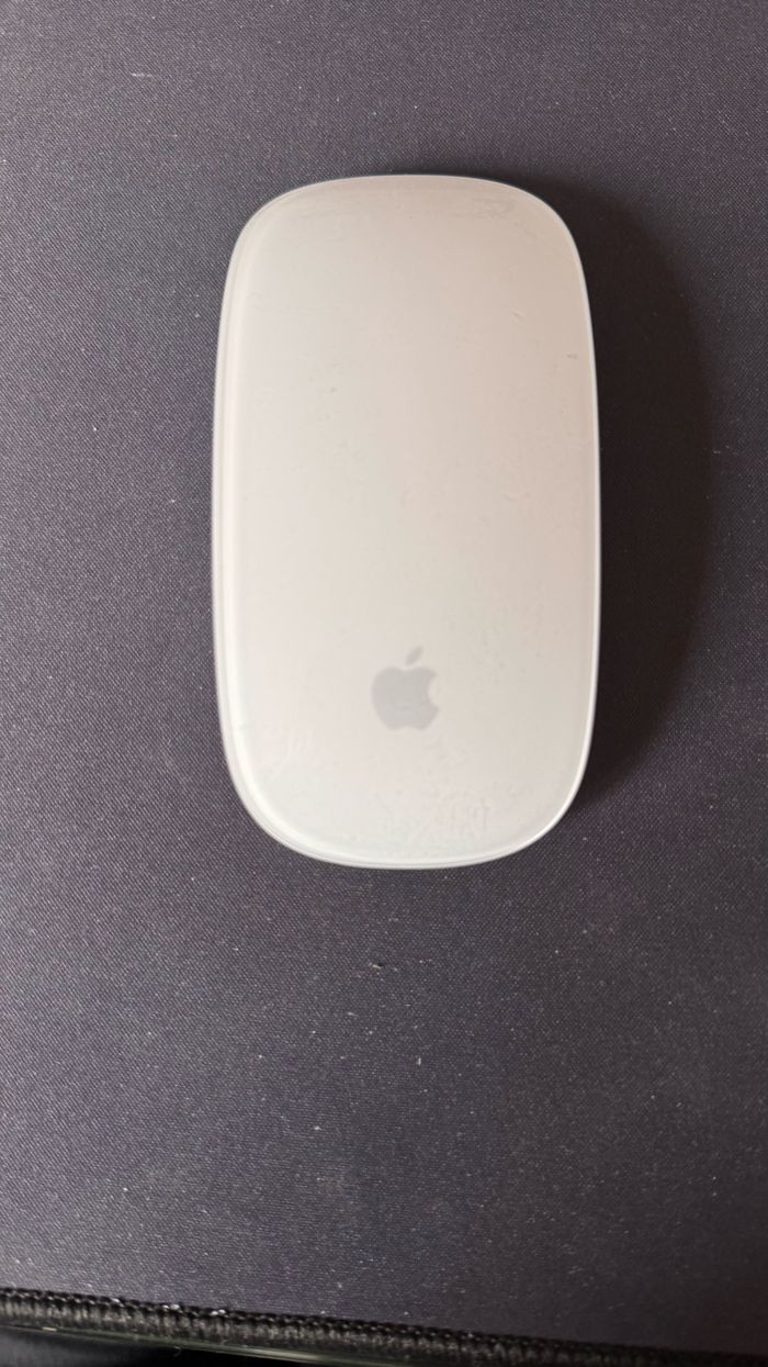 Magic mouse Apple sans fil Lightning