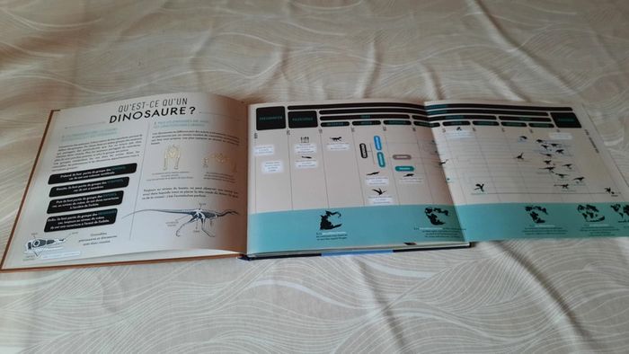 Sur les traces des dinosaures à plumes - photo numéro 2