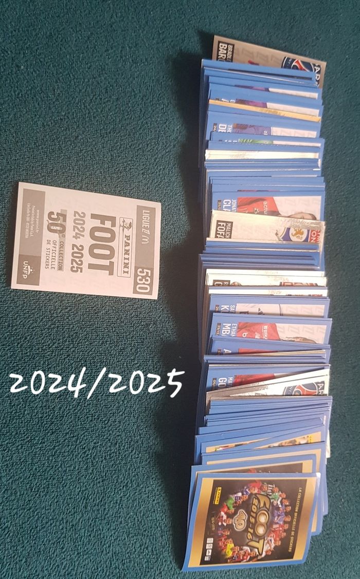 Panini foot 2024/2025