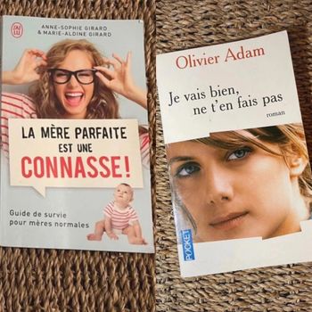 Livre la mère parfaite + Livre « je vais bien ne t’en fais pas »