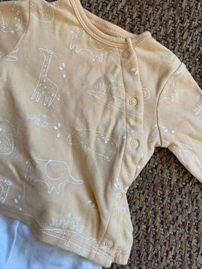 Ensemble - photo numéro 2