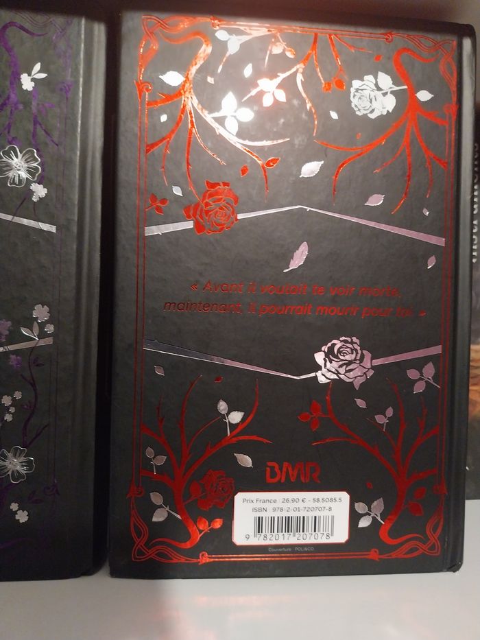 Romans Captive tomes 1.5 Perfectly Wrong et 2 Captive Reliés Collectors jaspage BMR Sarah Rivens Asher Ella Dark Romance - photo numéro 5