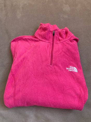 Polaire the north face