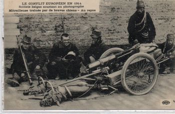CPA - LE CONFLIT EUROPEEN EN 1914 Soldat belge souriant au photographe Mitrailleuse  Traine par de b