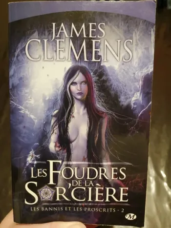 Les bannis et les proscrits: tome 2- les foudres de la sorcière