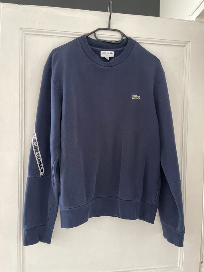 Sweat Lacoste