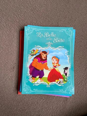 Livre la belle et la bête