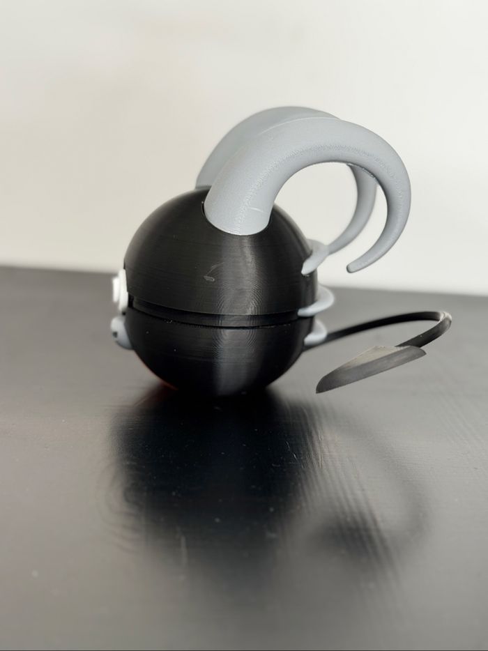 Pokeball démolisse - photo numéro 2