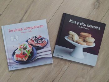 Lot 2 livre recettes tartines et biscuit