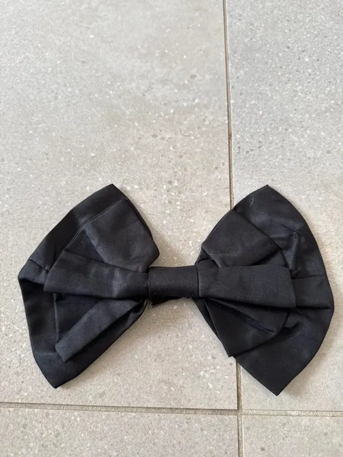 Grand Noeud papillon, très bon état, 25cm de longueur