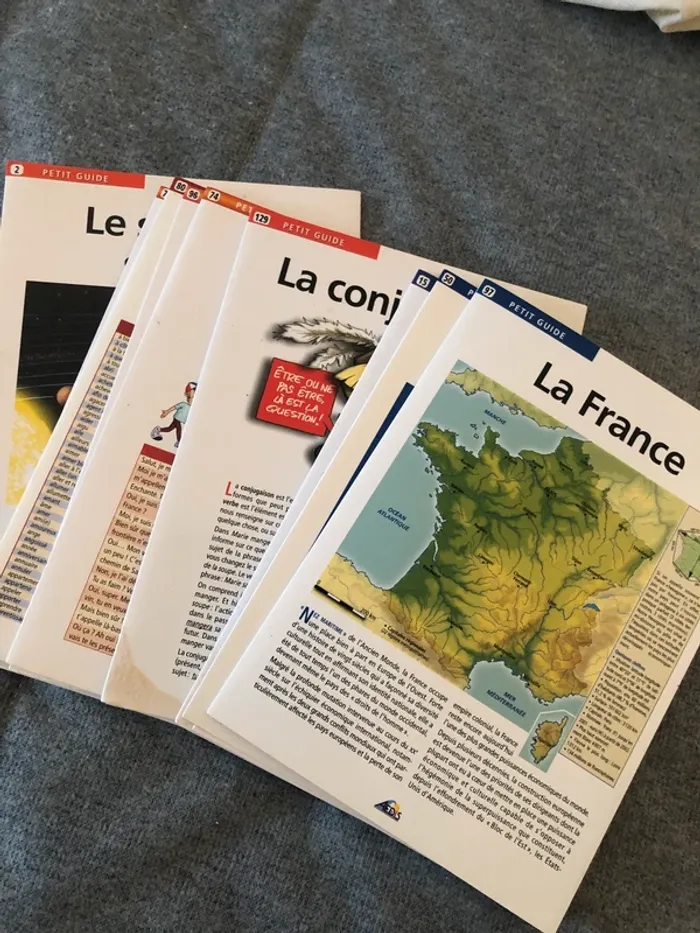 Livre fiche révisions collège Aedis éditions France Espagne - photo numéro 4