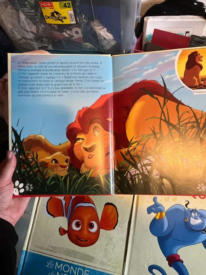 Livre Disney - photo numéro 7