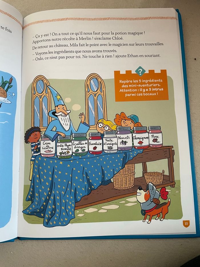 Livre Le Château endormi du Roi Arthur - photo numéro 2