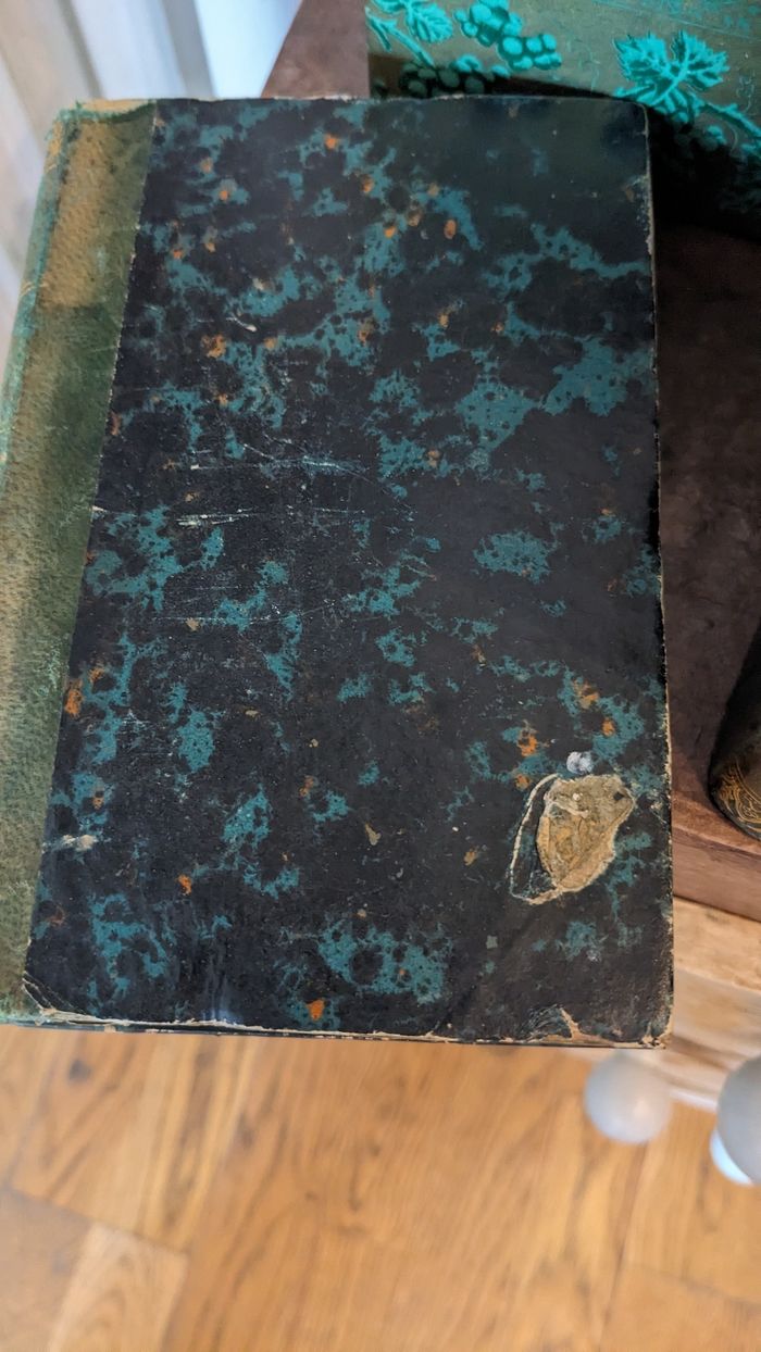 Lot de livres anciens " oeuvres complètes de Walter Scott" - photo numéro 7