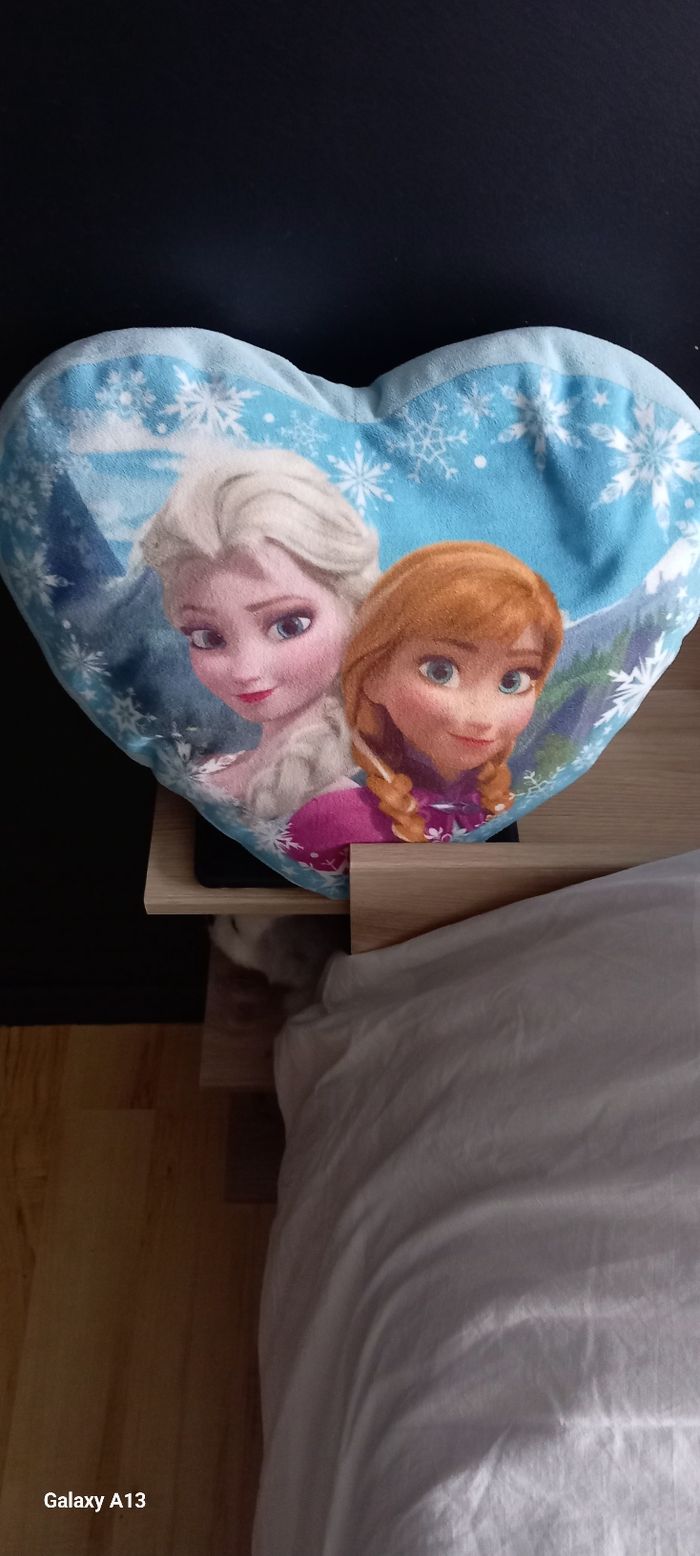 Coussin - photo numéro 2