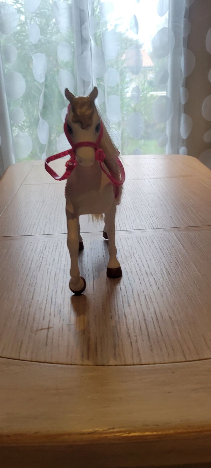 Cheval Barbie - photo numéro 8