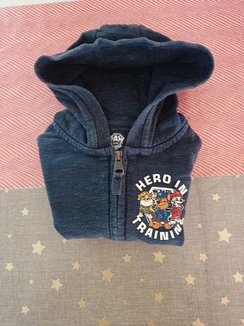 Sweat zippé pat patrouille