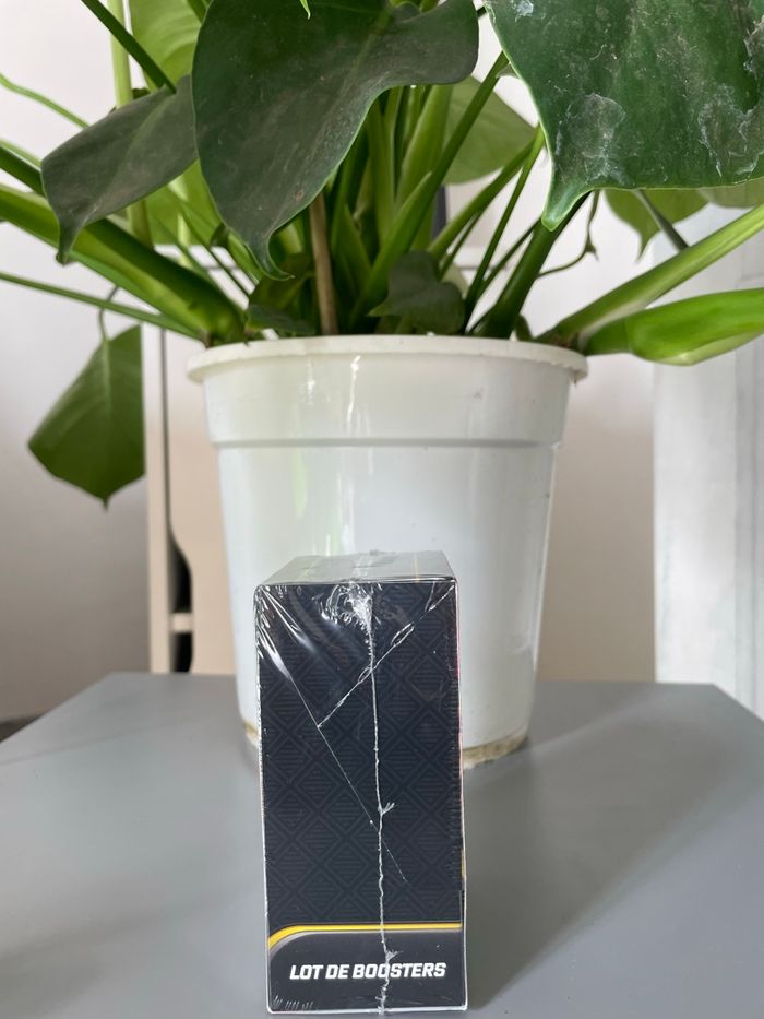 Bundle Pokémon mega evolution - photo numéro 4