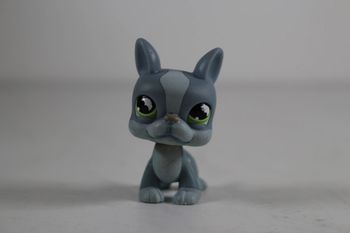 LPS Littlest Pet Shop 857 Boston Terrier Dog Gris