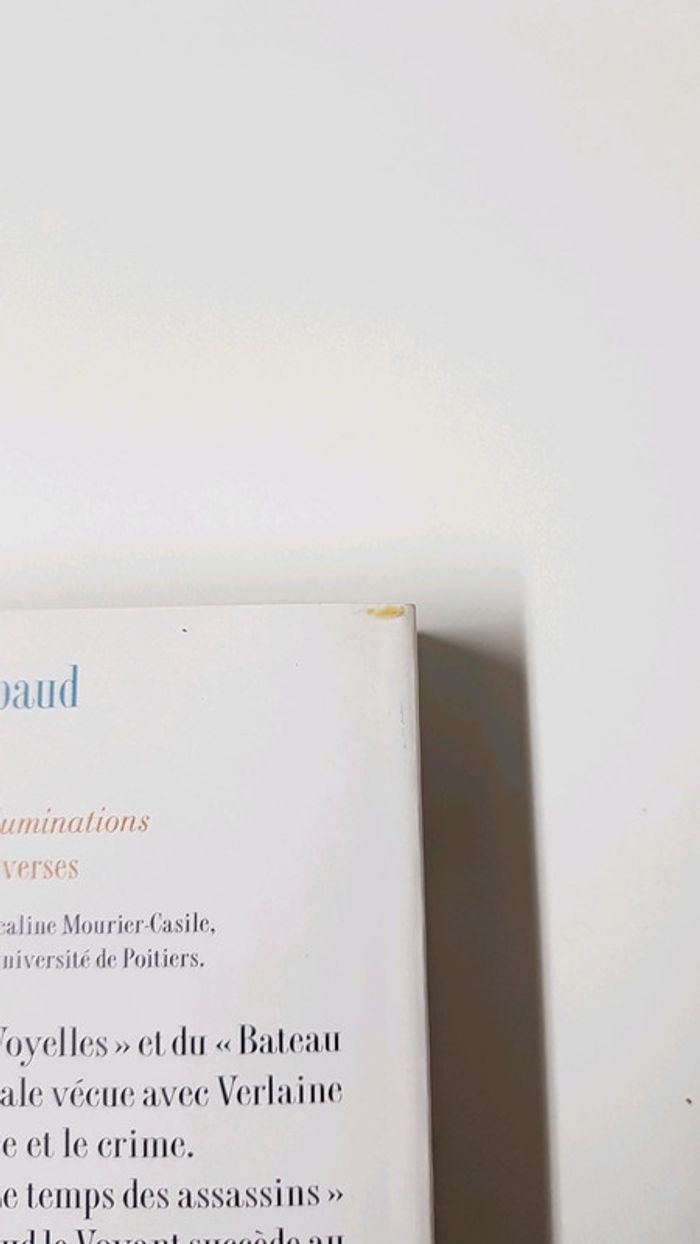 Arthur Rimbaud : Oeuvres - photo numéro 3