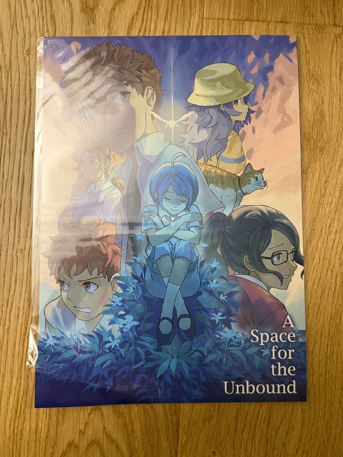Poster du jeu A Space for the Unbound
