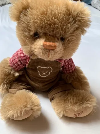 Ours en peluche salopette velours et chemise à carreaux