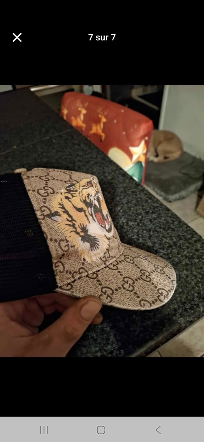 Tigre - photo numéro 4