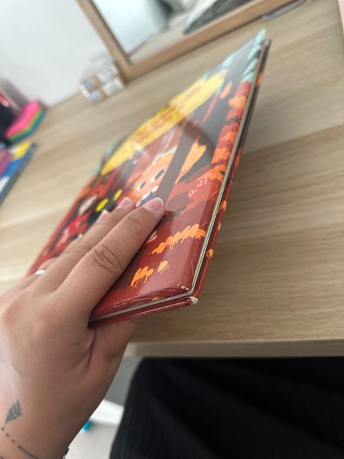 Livre cherche et trouve - photo numéro 3