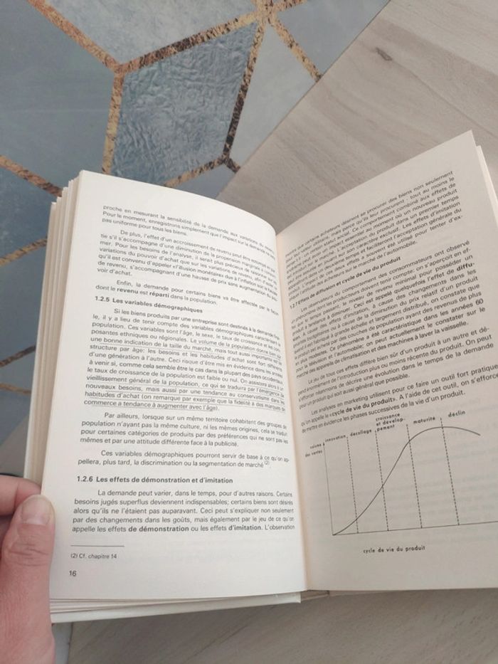 Livre grand format introduction économie entreprise Leroux - photo numéro 12