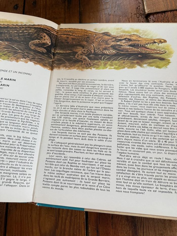 Robert Dallet Roby grand beau livre encyclopédie Faune d’Australie animaux album - photo numéro 10