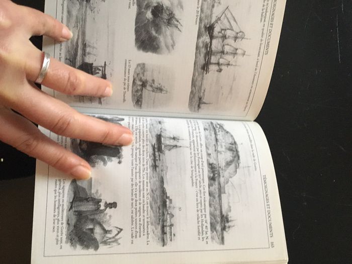 Livre : vie et mort des baleines - photo numéro 3