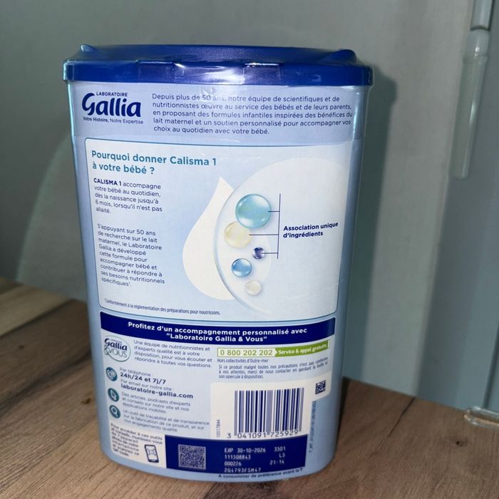 Gallia calisma - photo numéro 2