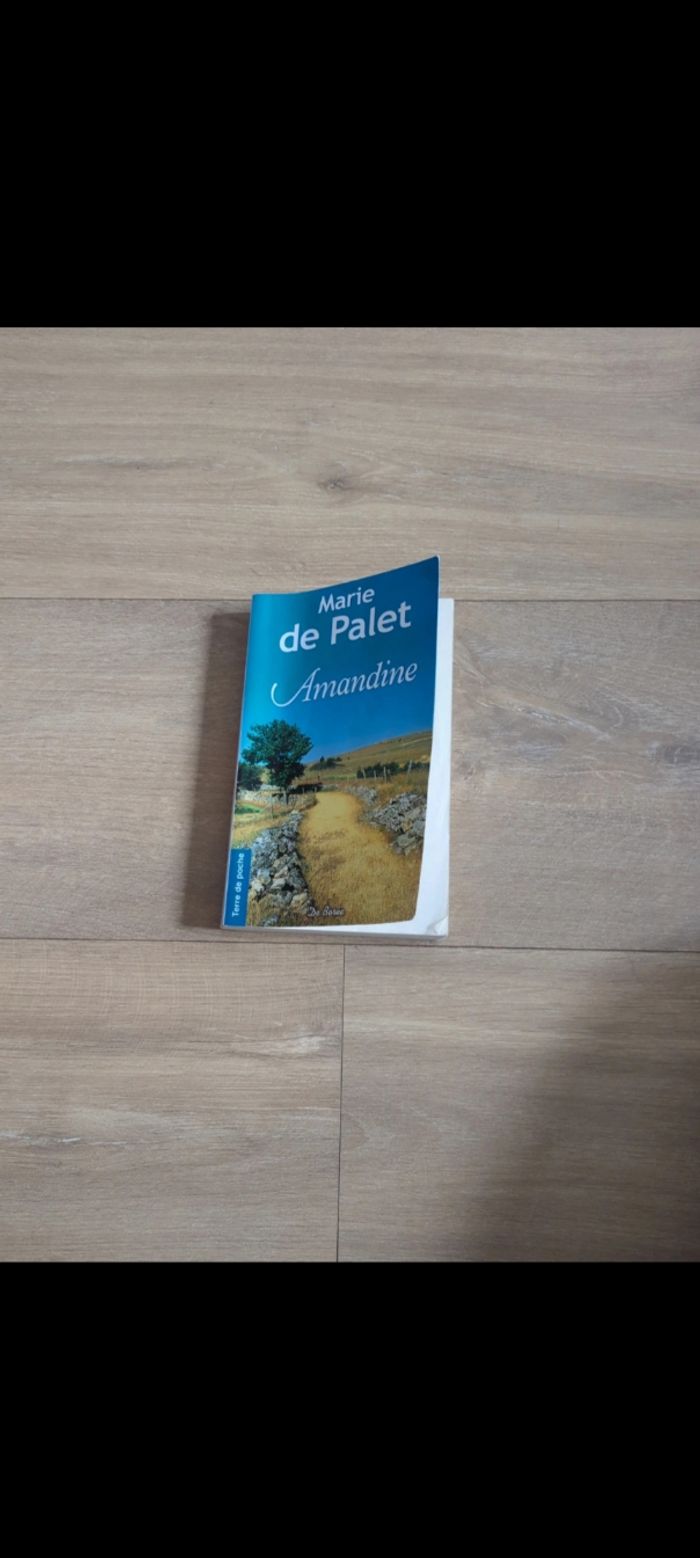 Livre Amandine marie de palet
