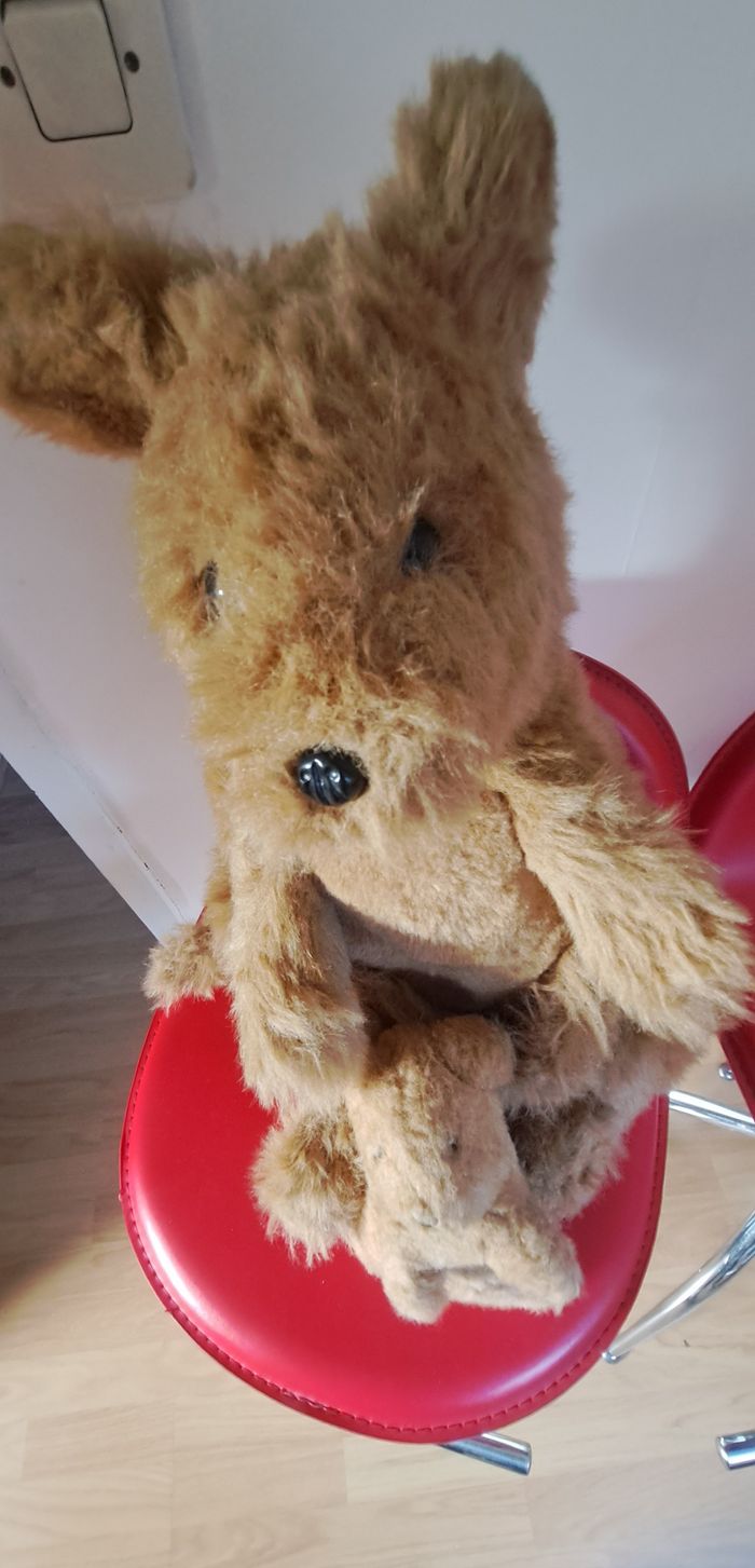 Kangourou et son petit - photo numéro 2