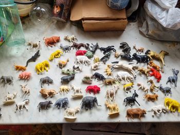 Animaux plastique