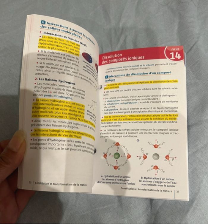 Fiches Spécial Bac Physique-Chimie 1ère - photo numéro 2