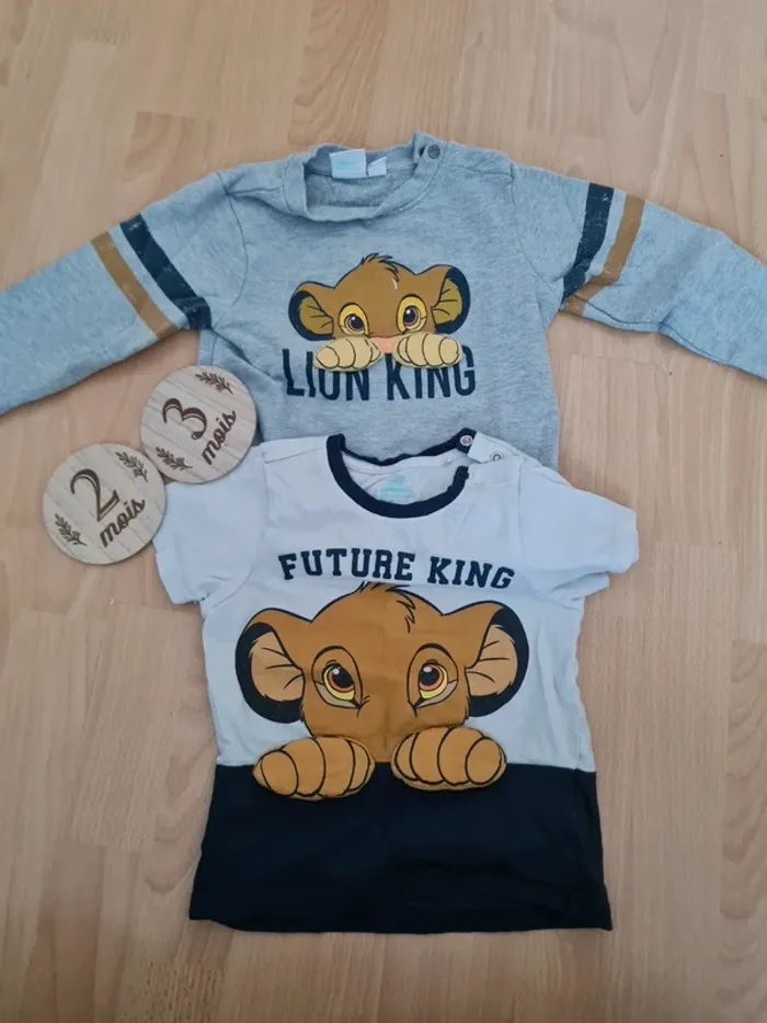Ensembleroi lion